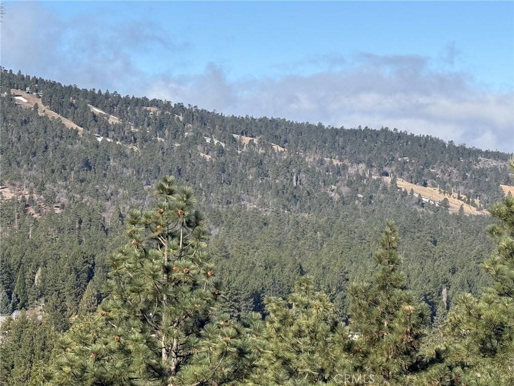 Big Bear City, CA 92314,807 Plumas CT