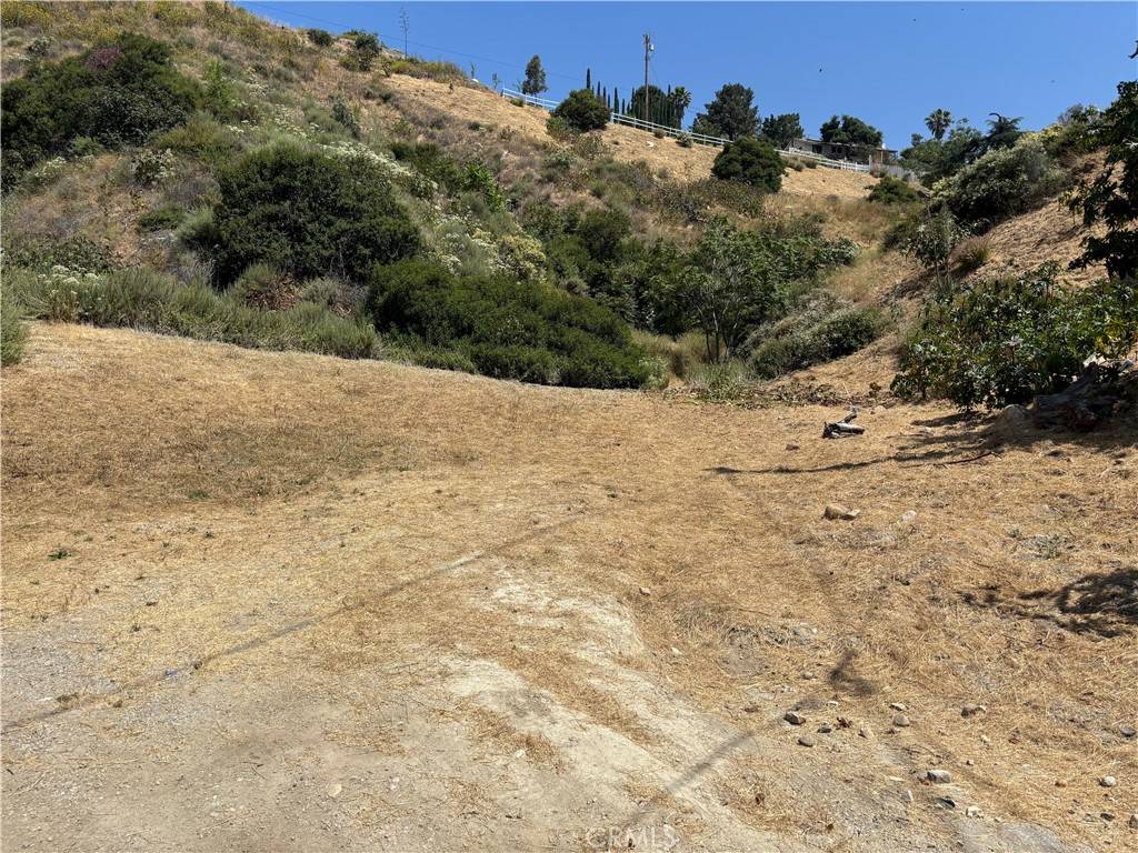 Sunland, CA 91040,8001 denivelle rd