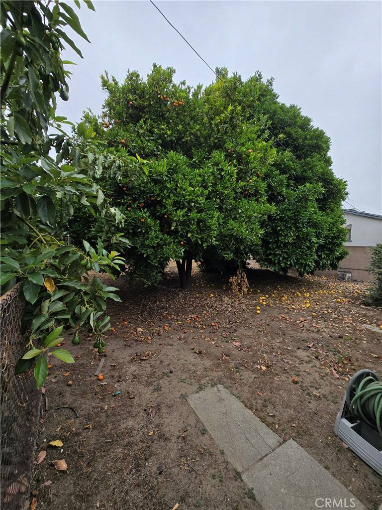 Arcadia, CA 91007,741 Val ST