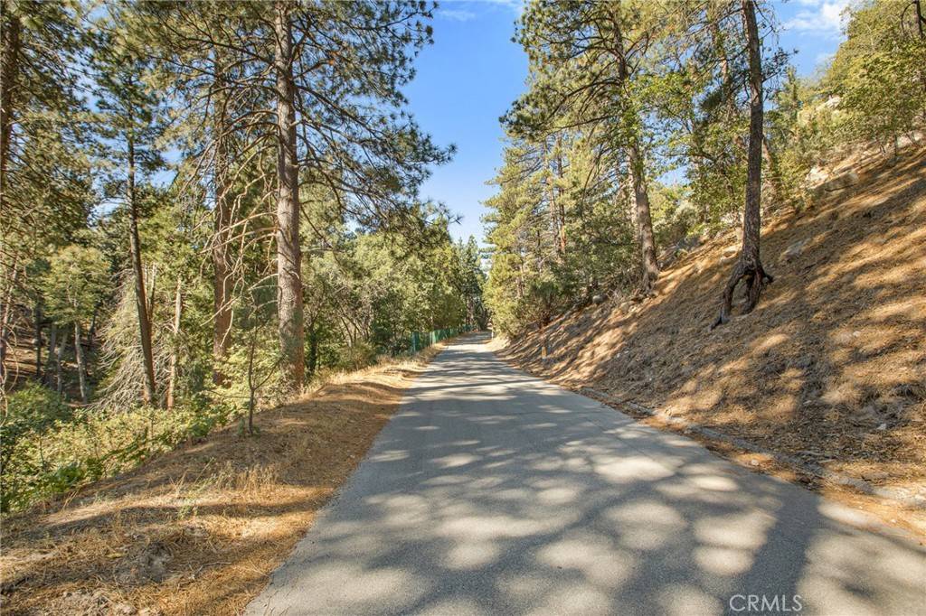 Cedar Glen, CA 92352,0 Torrey RD