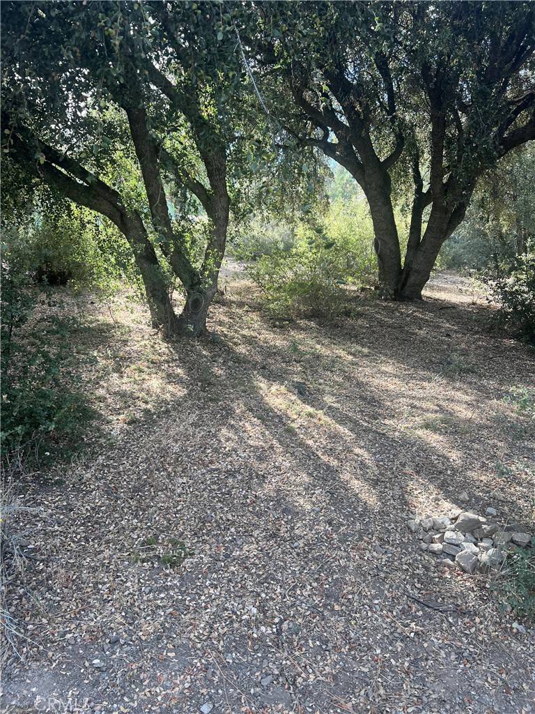 Pine Mountain Club, CA 93222,2417 Freeman DR