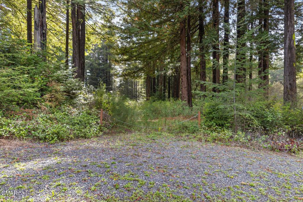 Fort Bragg, CA 95437,30799 Swithenbank LN