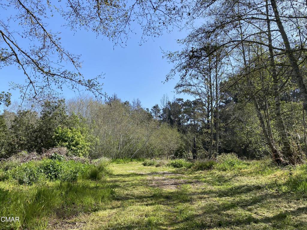 Fort Bragg, CA 95437,22177 Burrows Ranch RD