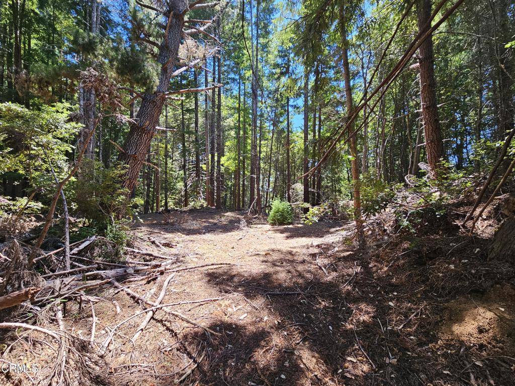 Westport, CA 95488,54641 CA-1