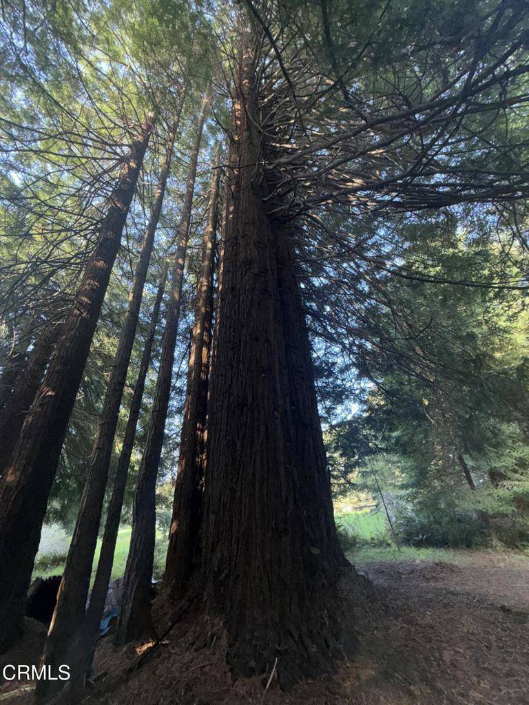 Fort Bragg, CA 95437,31750 Pudding Creek RD