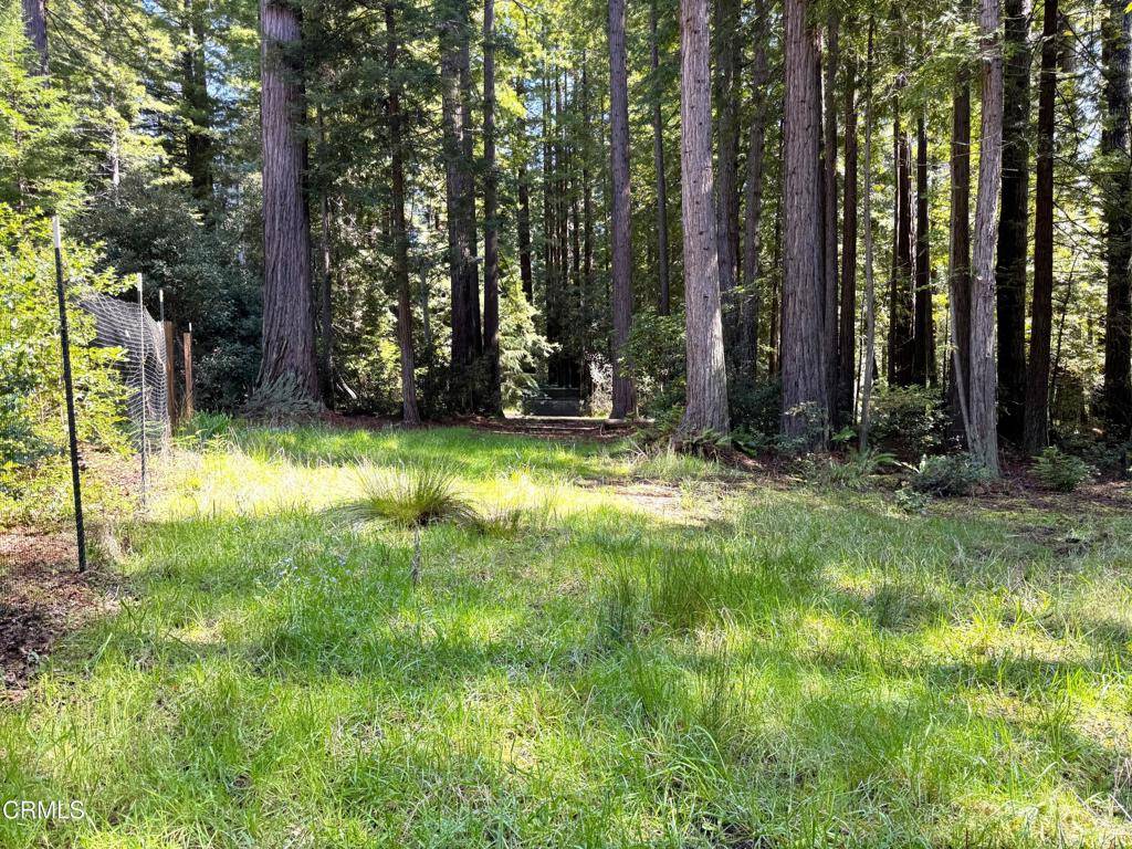Mendocino, CA 95460,43700 Tibbens LN