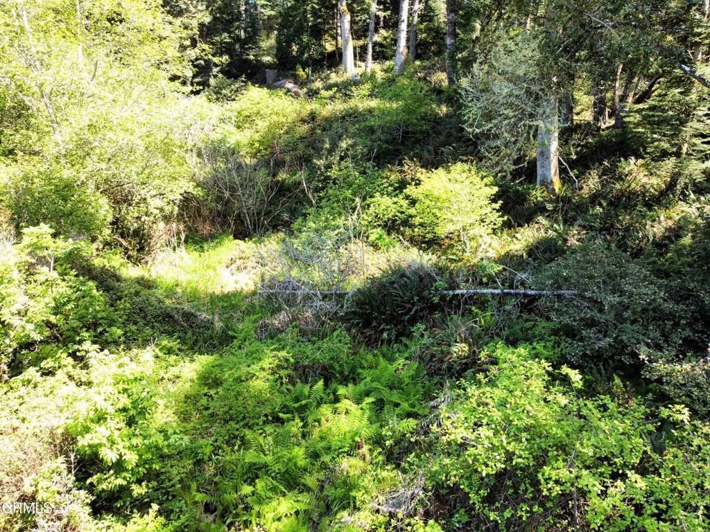Mendocino, CA 95460,44551 Raven LN