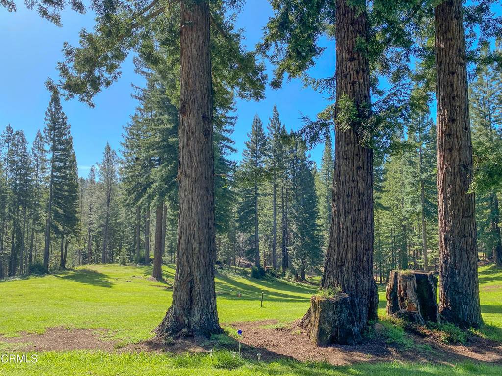 Boonville, CA 95415,13740 Peregrine RD