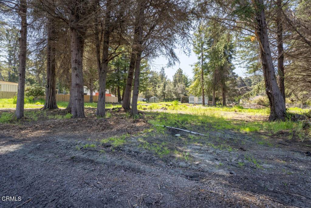 Fort Bragg, CA 95437,32625 Happy LN