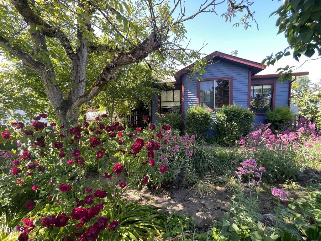 Willits, CA 95490,458 E San Francisco AVE