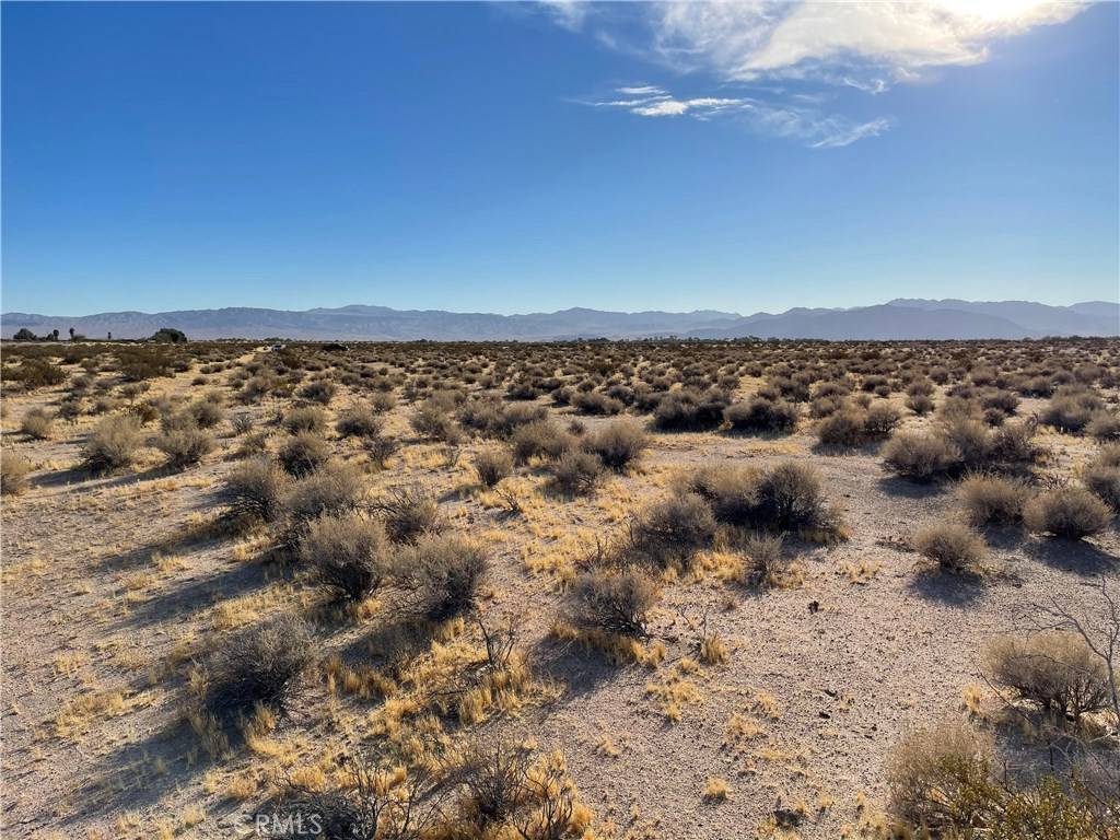 Newberry Springs, CA 92365,0 Bedford