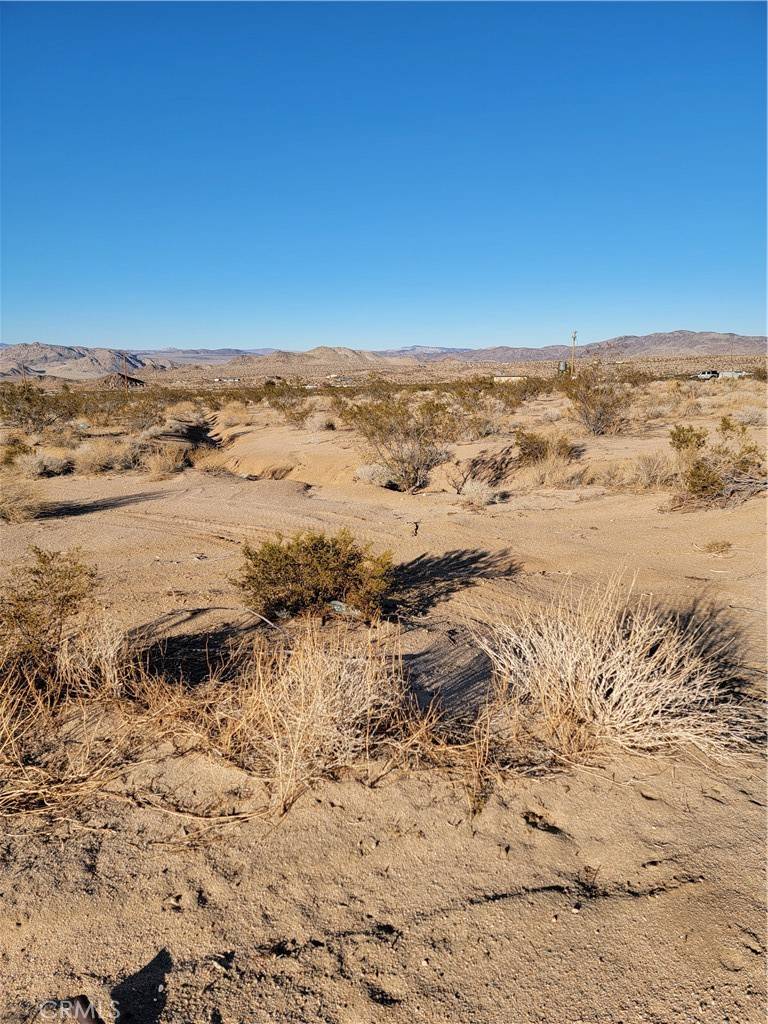 Johnson Valley, CA 92285,0 Pony RD