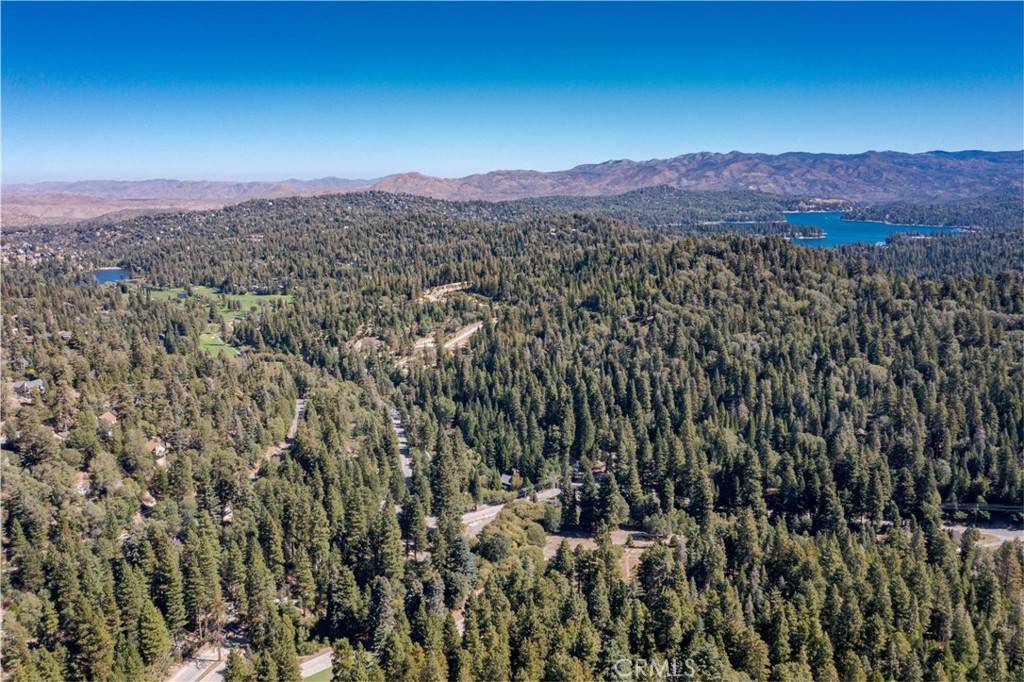 Twin Peaks, CA 92391,26433 Forest LN