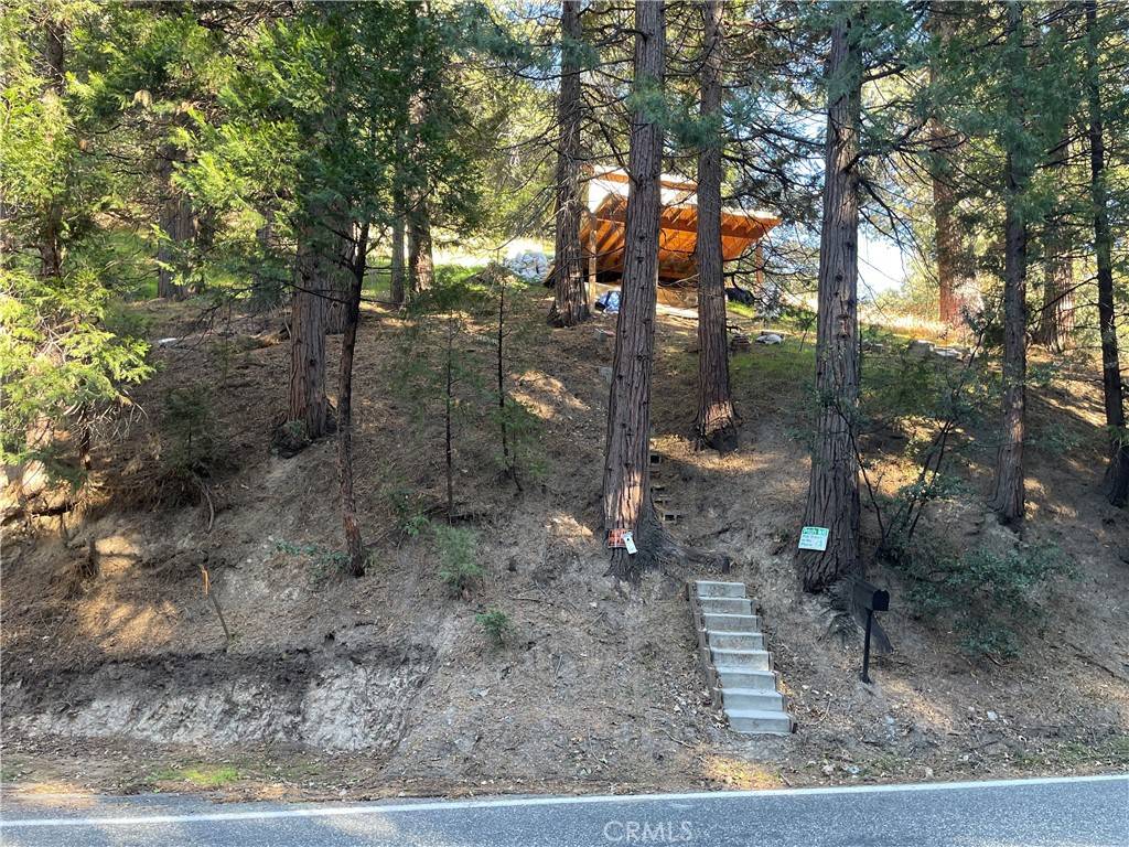 Crestline, CA 92325,233 Dart Canyon RD