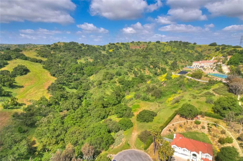 Chino Hills, CA 91709,1024 Alpine CT