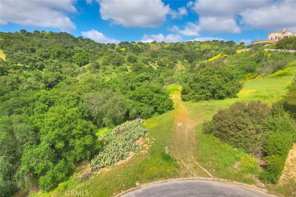 Chino Hills, CA 91709,1024 Alpine CT