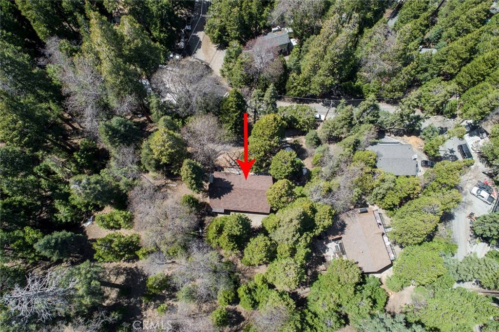 Cedar Glen, CA 92321,29015 Alder Terrace