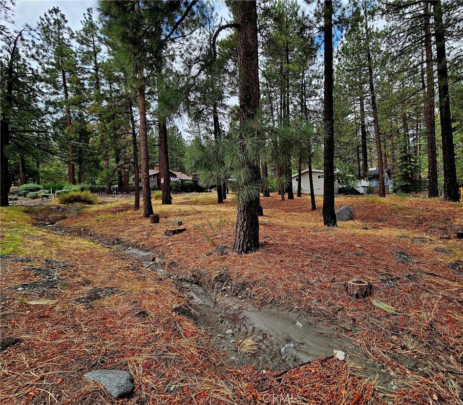 Wrightwood, CA 92397,0 Edna ST