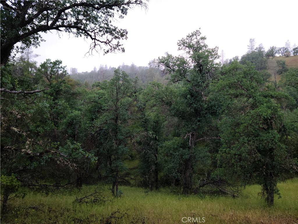 Red Bluff, CA 96080,0 Darlington RD