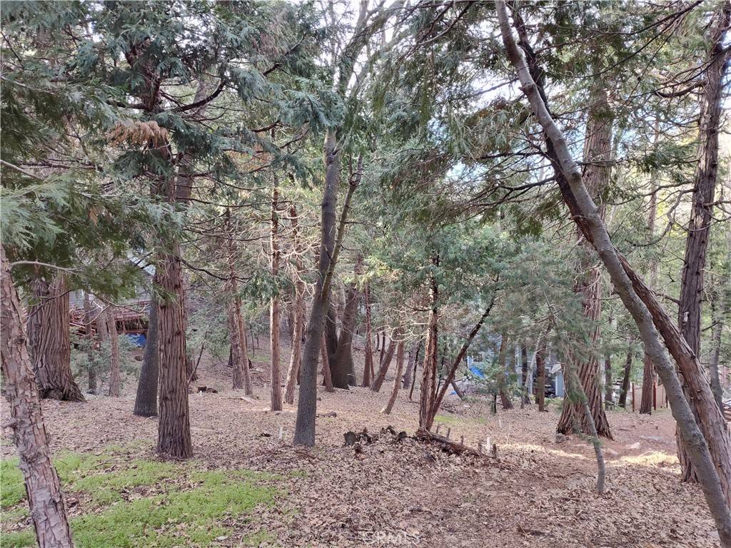 Crestline, CA 92325,0 Outlook LN