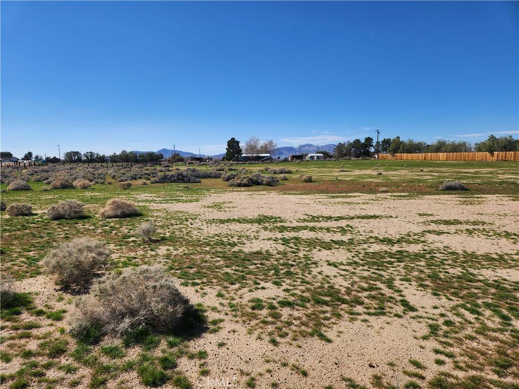 0 Yucca Rd Newberry Springs, CA 92365