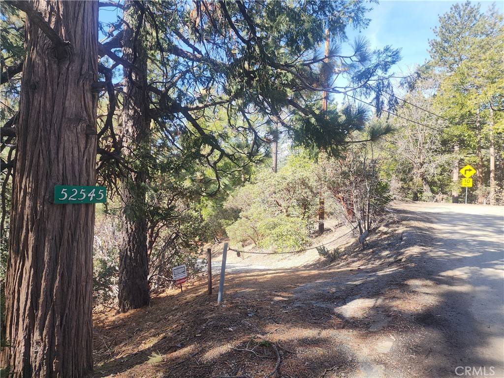 Idyllwild, CA 92549,52547 Pine Cove RD