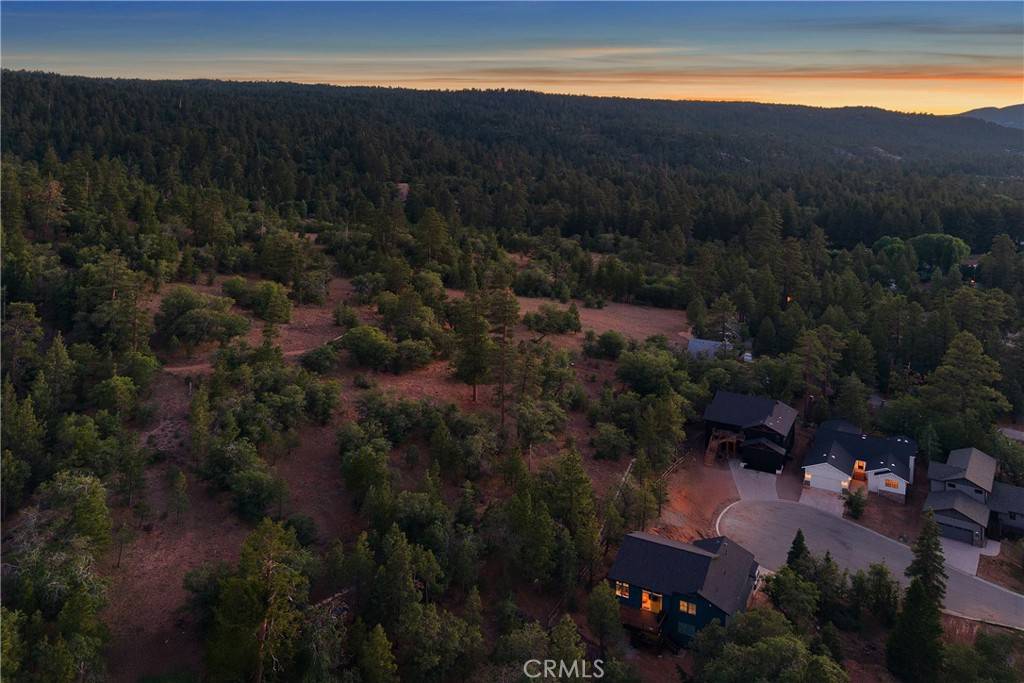 Big Bear Lake, CA 92315,870 Pine Meadow CT