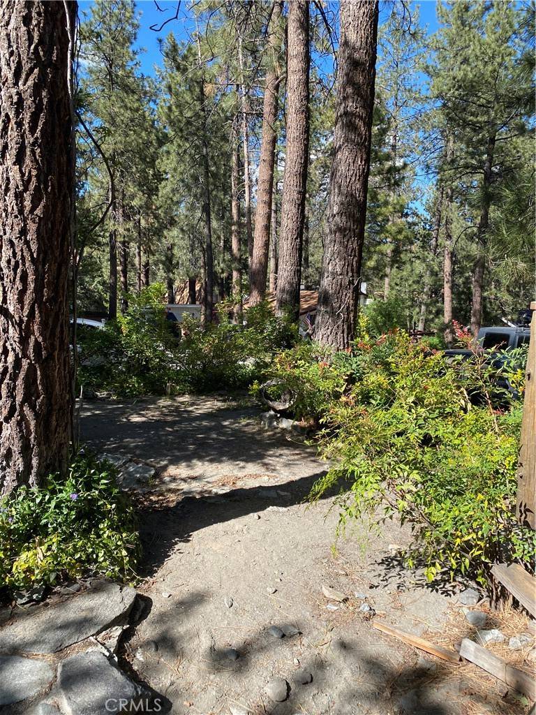 Wrightwood, CA 92397,1695 Thrush RD