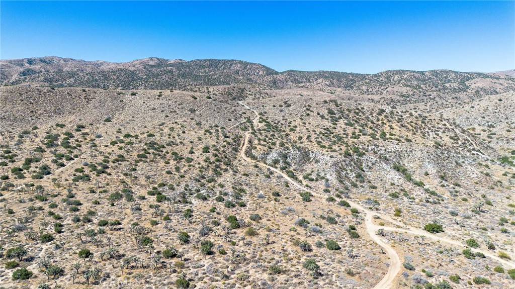 Palmdale, CA 93550,79 Mt Emma RD