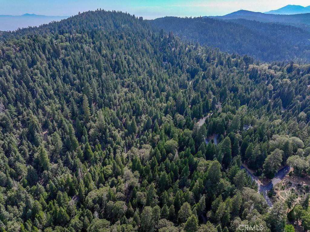 Lake Arrowhead, CA 92352,29191 Pigeon Hawk LN