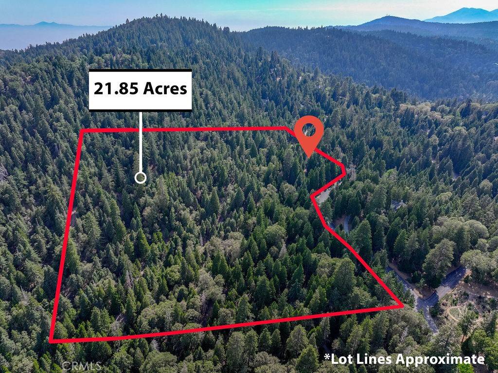 Lake Arrowhead, CA 92352,29191 Pigeon Hawk LN