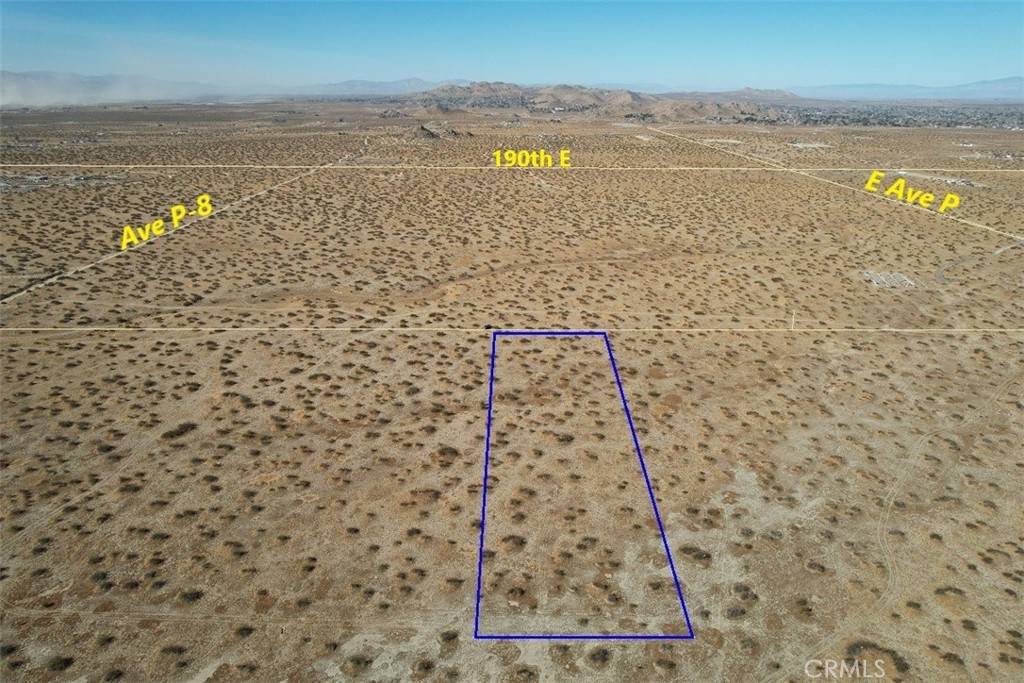 Palmdale, CA 93591,45 E 195th ST