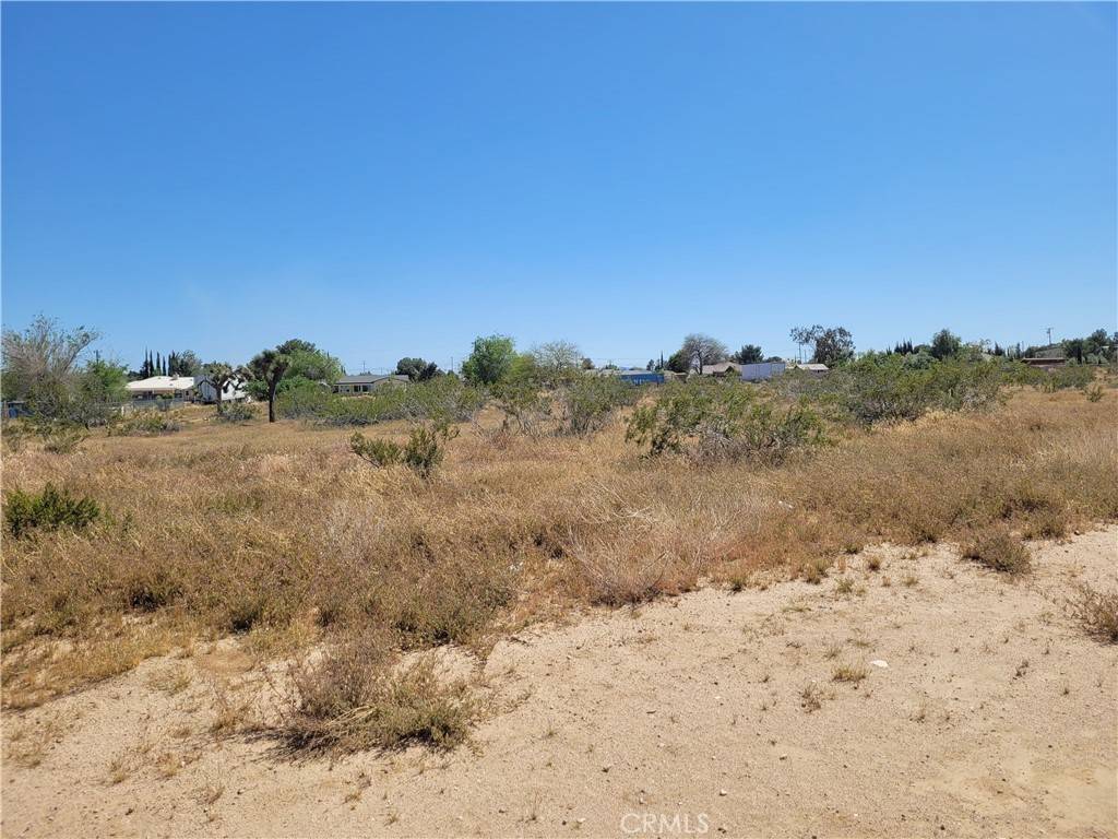 Hesperia, CA 92345,40000 Lilac