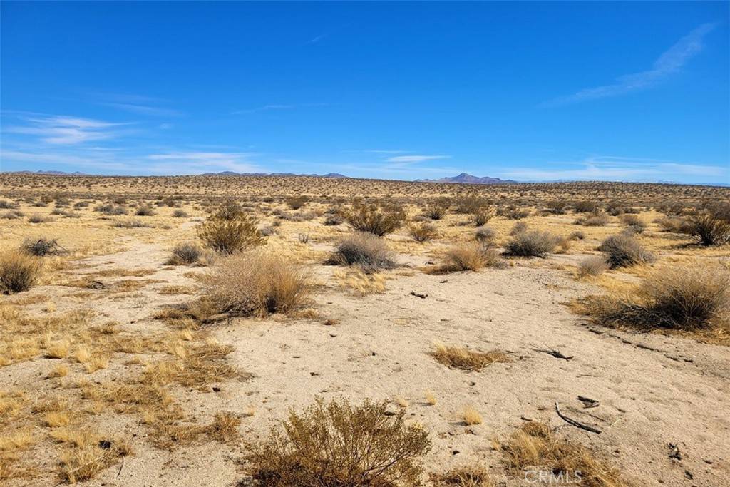 Adelanto, CA 92301,36 Fremont Wash Trail RD N