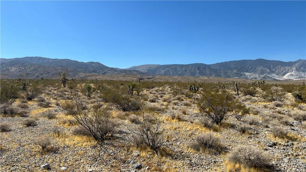 Lucerne Valley, CA 92356,0 Bauer Rd DR