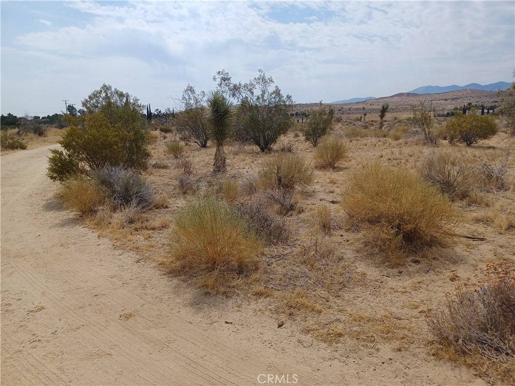 Pearblossom, CA 93553,0 E Avenue V-12