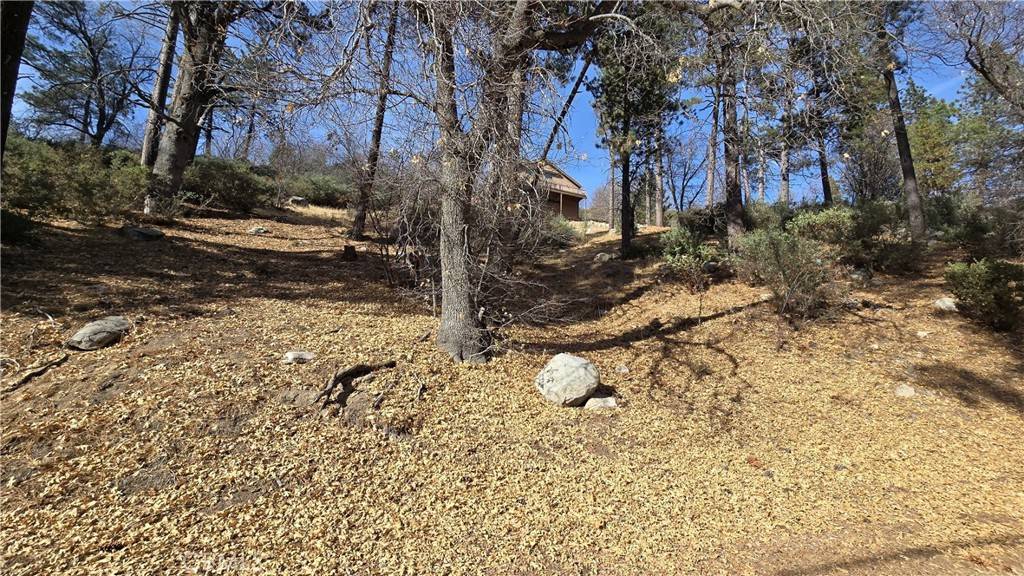 Cedar Glen, CA 92321,0 Big Tree DR
