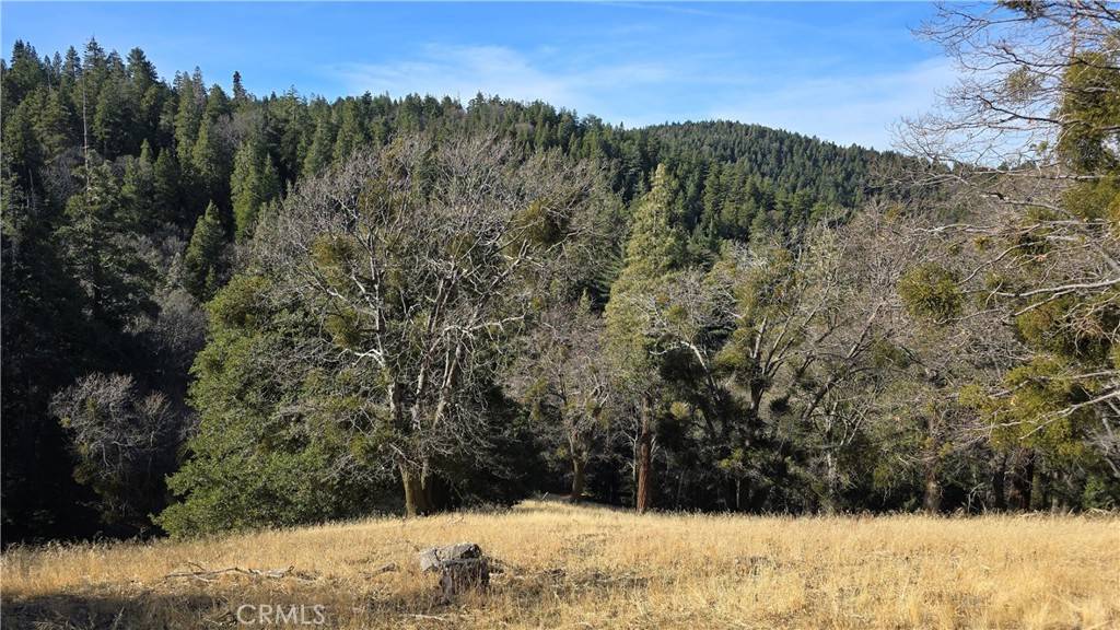 Cedarpines Park, CA 92322,0 Cross TRL