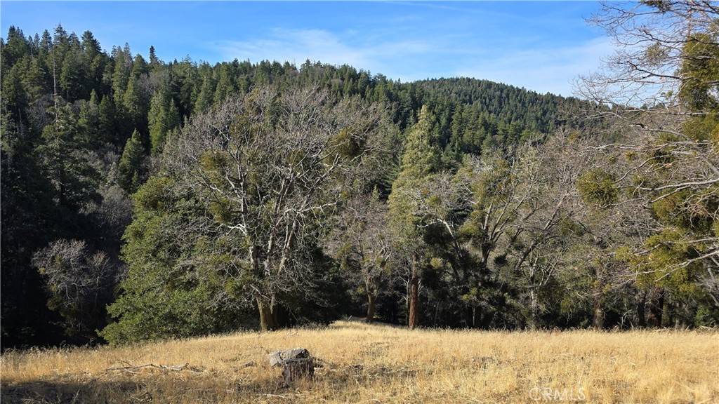 Cedarpines Park, CA 92322,0 Cross TRL