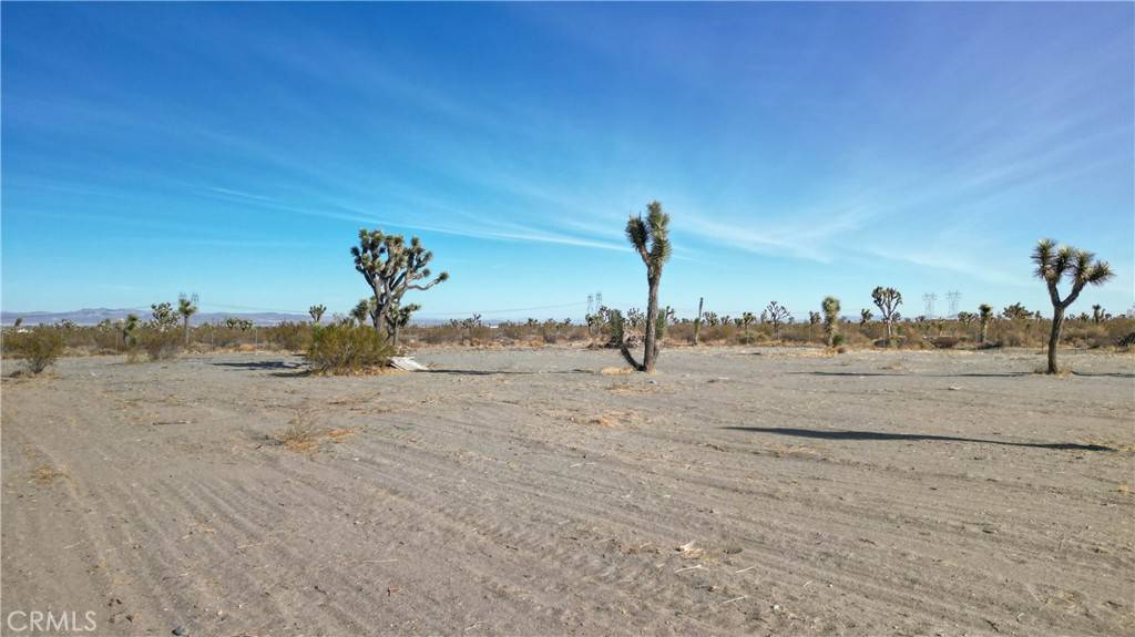 Phelan, CA 92371,12575 Buckwheat RD