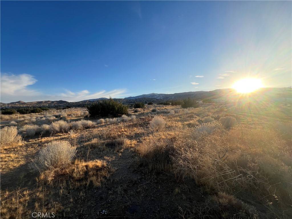 Phelan, CA 92371,9610 Mescalero RD