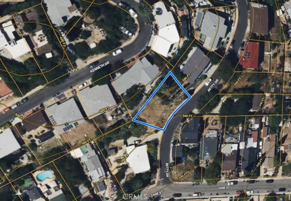 Los Angeles, CA 90032,3215 N Betty DR