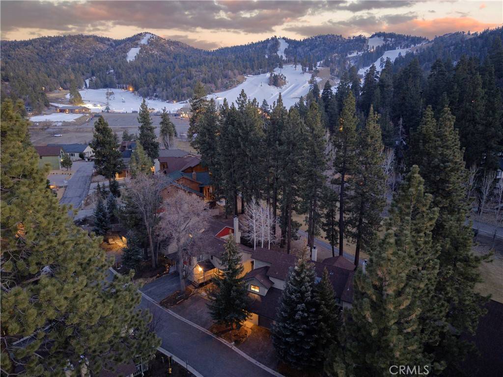 Big Bear Lake, CA 92315,1187 Bear Meadows LN