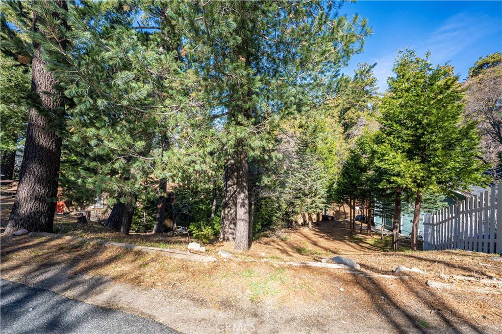 Crestline, CA 92325,0 Calanda DR