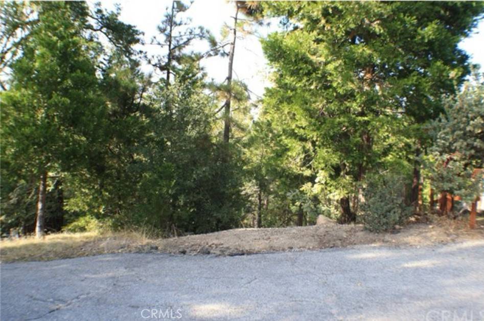 Lake Arrowhead, CA 92352,0 Grass Valley RD