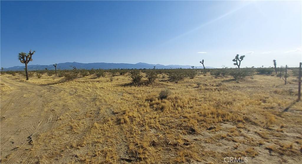 Phelan, CA 92371,0 APN 3101-291-03-0000