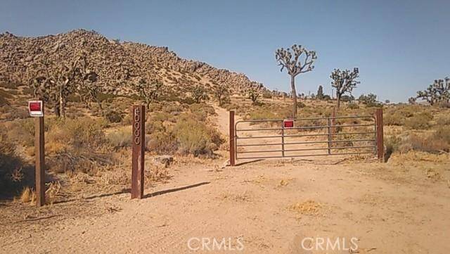 Palmdale, CA 93591,40000 140th ST E