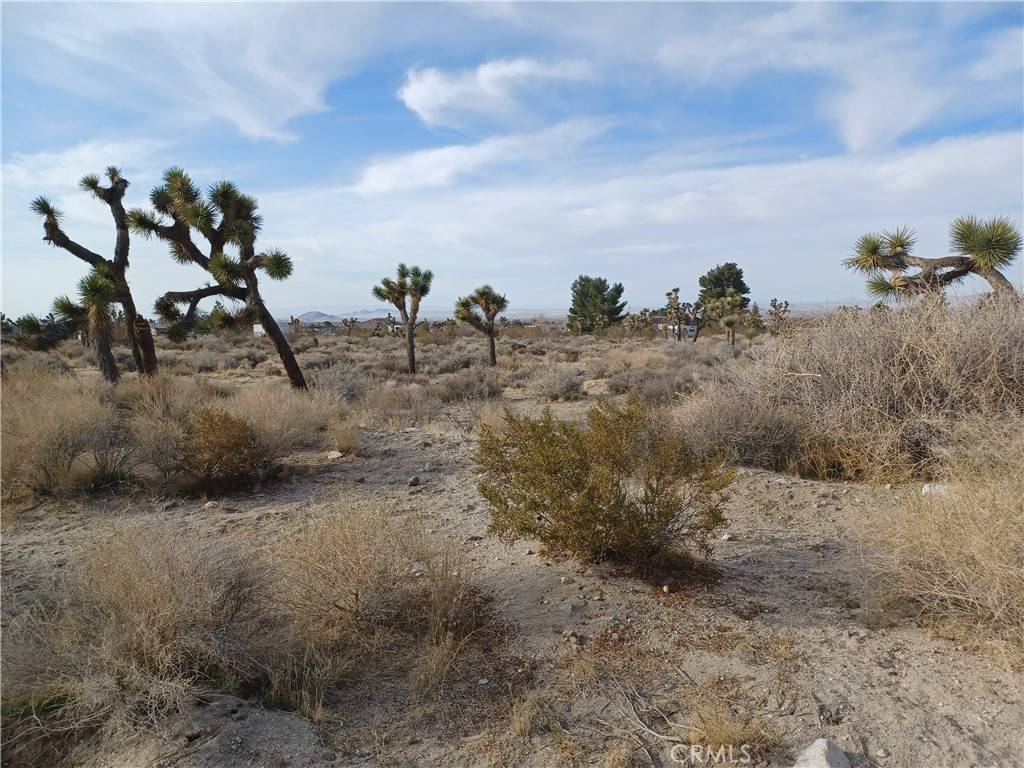Pinon Hills, CA 92372,0 Goss/Buena Vista