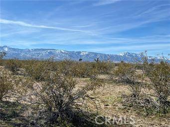 Phelan, CA 92371,0 South ST