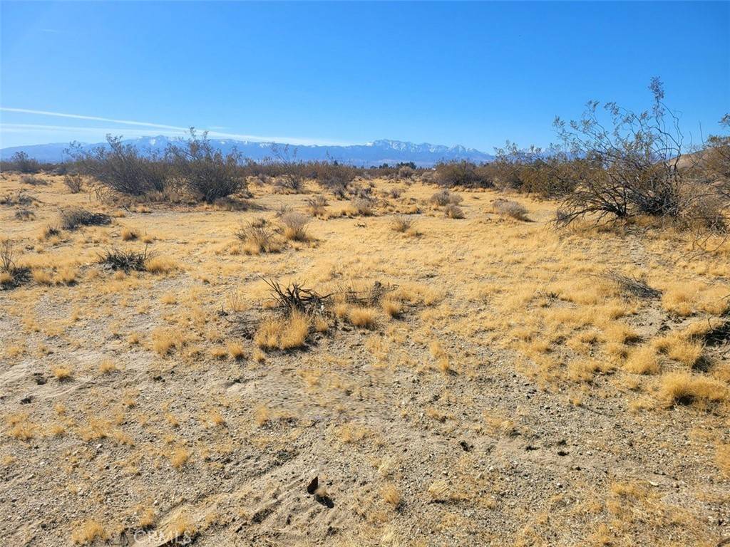 Adelanto, CA 92301,53 La Habra Ave